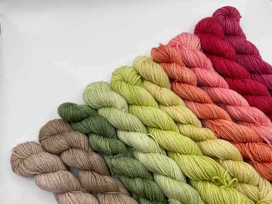 Mini skein bundle - ready to ship